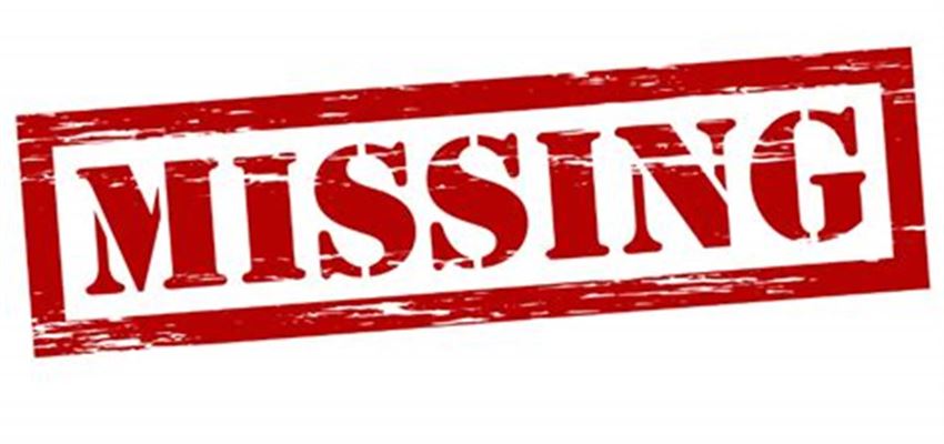 At flytte med børn: Sikring af den bedste oplevelse